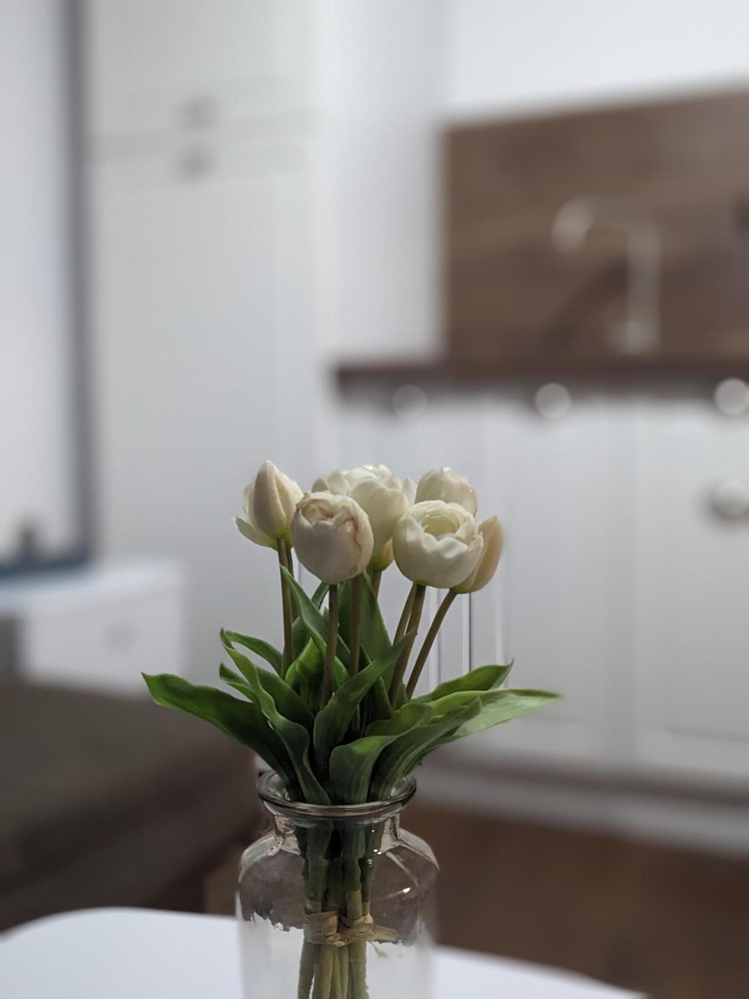 Honey I'M Home Apartments Велико Търново Екстериор снимка